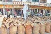 Mandi, hole seller, rice, online purcheging, kaithal