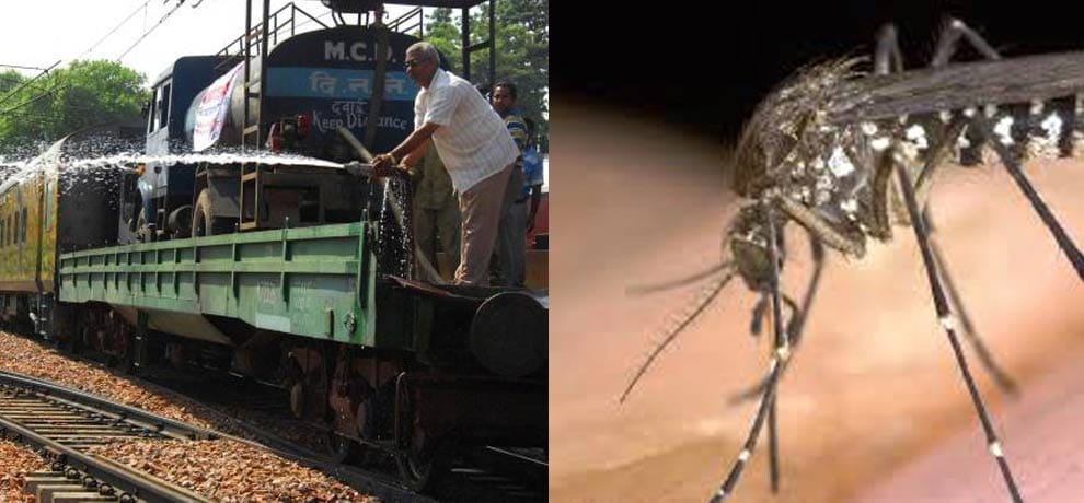 now train will run to kill mosquitoes, would like to know the root