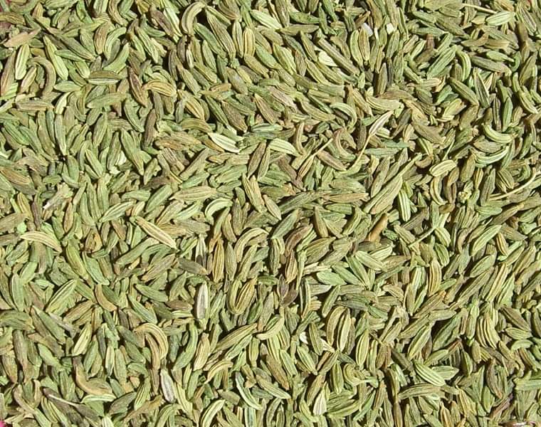 amazing health benefits of fennel seeds tea and water