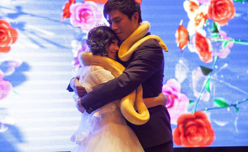 couple exchange huge pythons instead of rings at their wedding