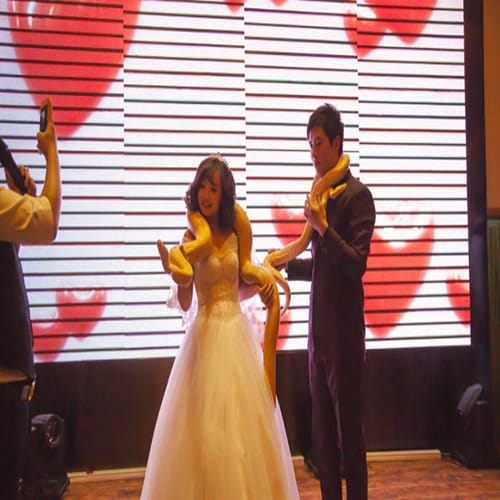 couple exchange huge pythons instead of rings at their wedding