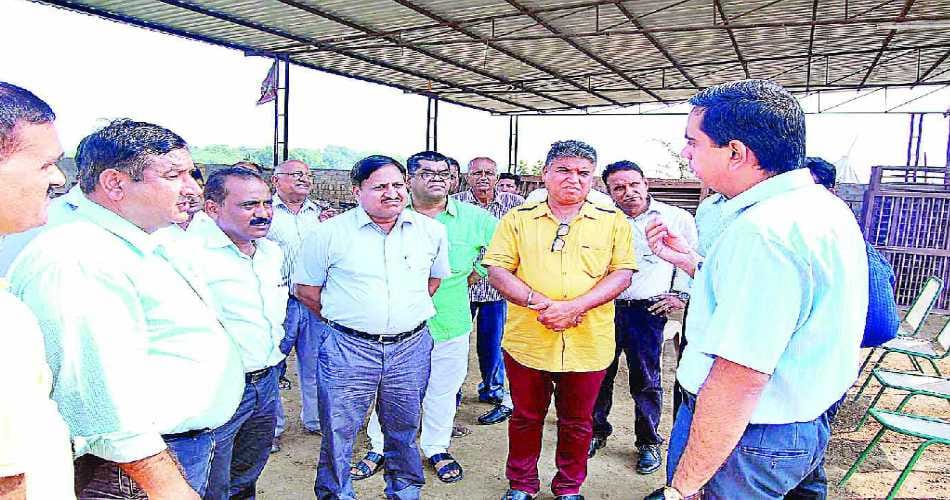 stray cattle, stray cattle problem in Hisar, Hisar DC, Hisar should be free from stray cattle, HIsar