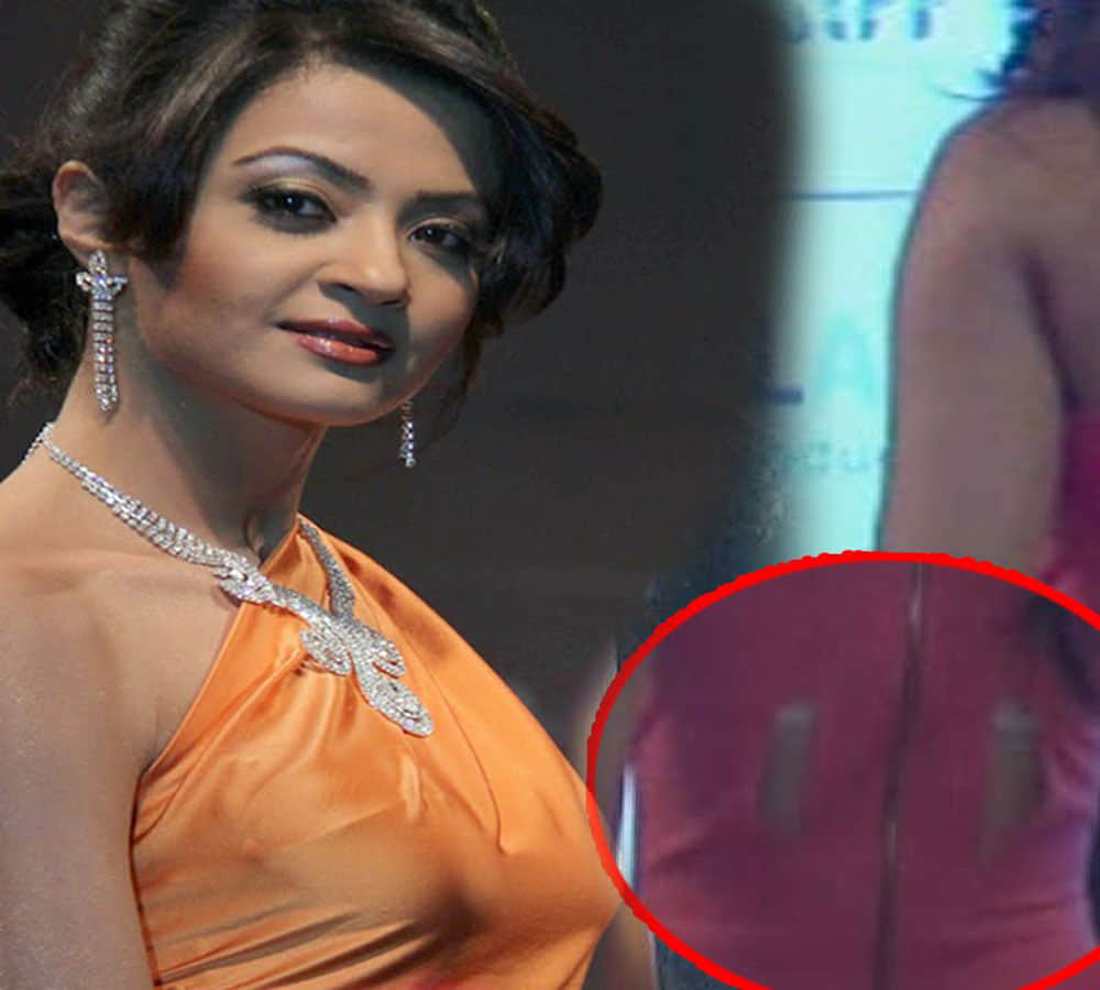 Chandigarh, Bollywood Actress Surveen Chawla Bail Petition in Fraud Case Rejected