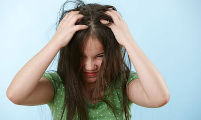 Hair Care Tips Follow These Home Remedies for Lice Problems in Hair News in Hindi