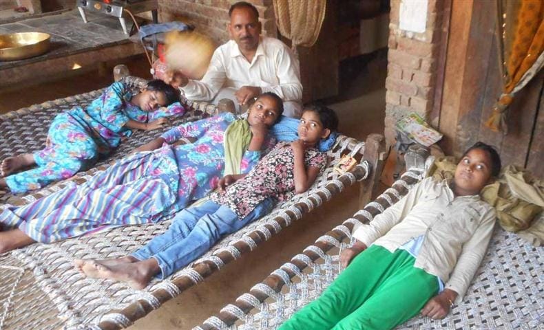Chikungunya four dead , over 200 ill