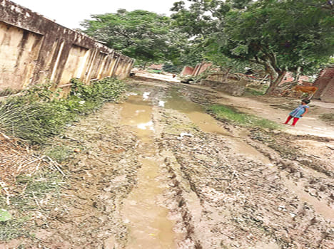 People suffering from Chikungunya in MP's adopted village