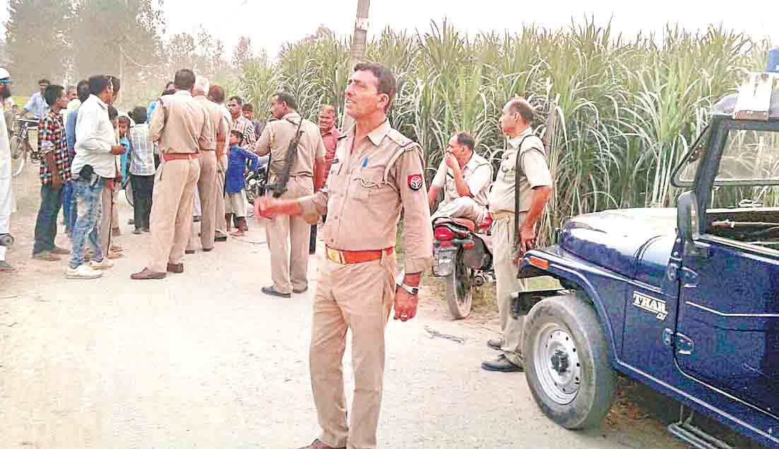 rape and fir