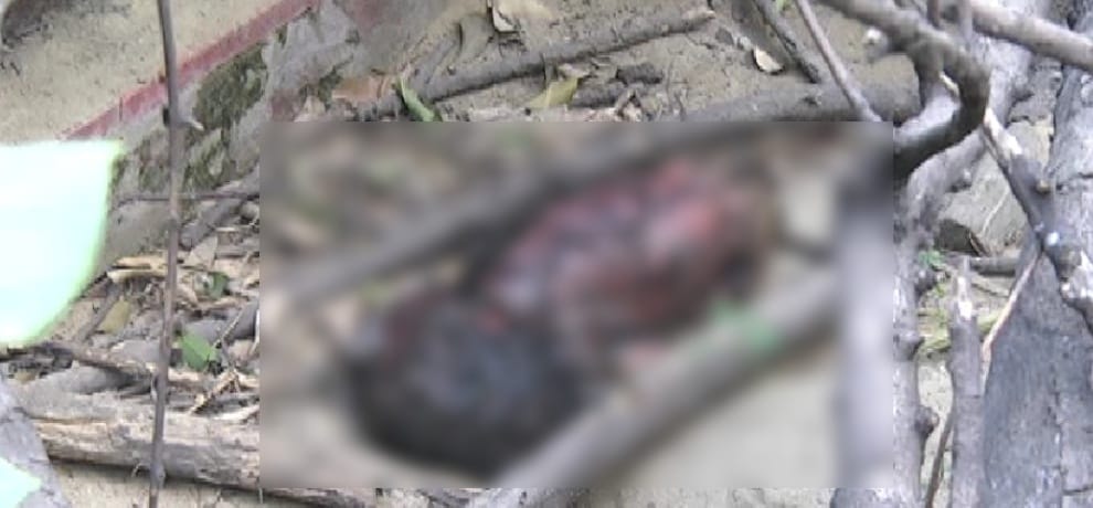 Newborn child murderd by father