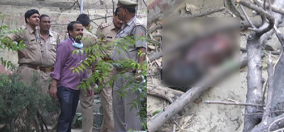 dog enter ghaziabad hospital with fetus of human baby of 6 months in his mouth
