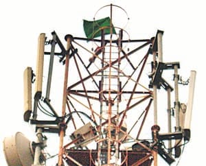 pakistan flag kaushambi