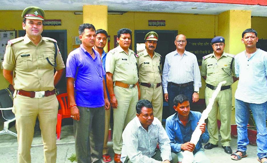 Antrgnpdiy busted a gang of thieves