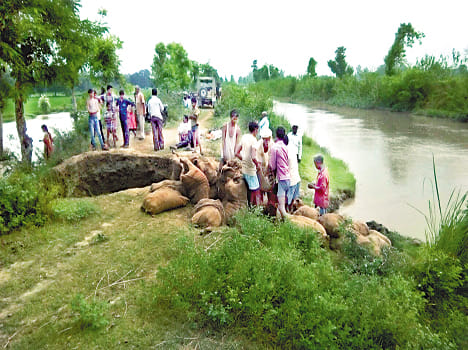 The department made canal off Khandi