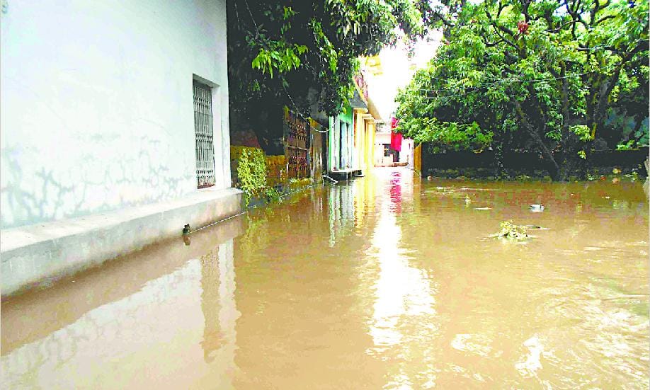 crops will good due to rain
