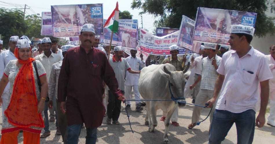 minister dhankar's house, aap workers protest, protest for cow, jhajjar