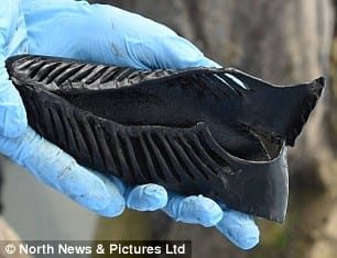  2,000 year old shoe  looks just like adidas