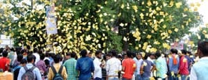 Enrollment for University Student elections today