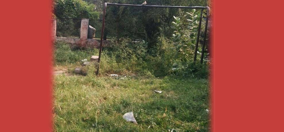  Volunteers found animal's organ in park, police took position due to stress