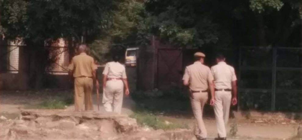 Four injured in wolf attack