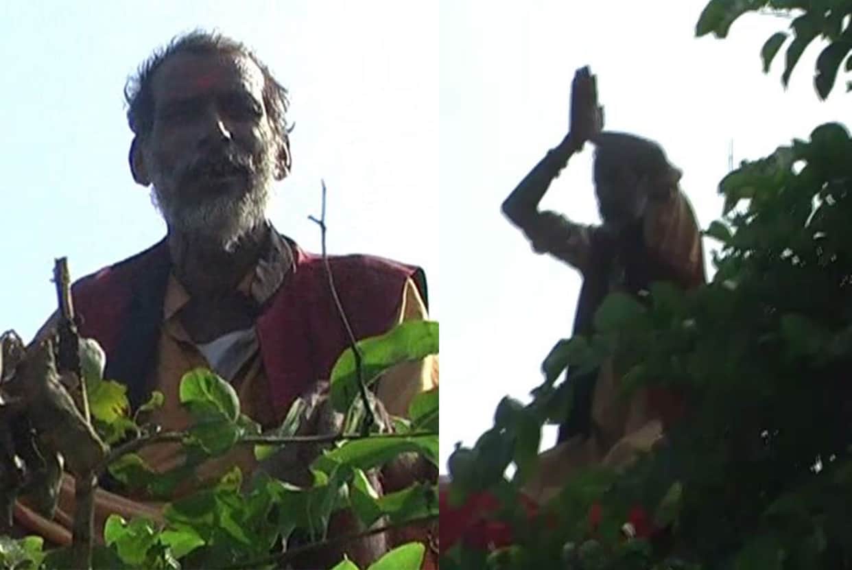worship upon tree angainst terrorism.