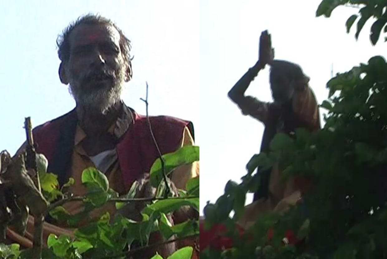 worship upon tree angainst terrorism.