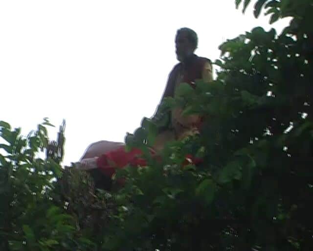 worship upon tree angainst terrorism.