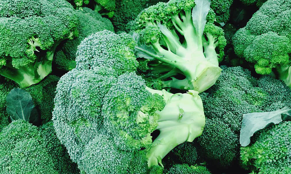 top 5 anti aging foods for skin hair brain and health