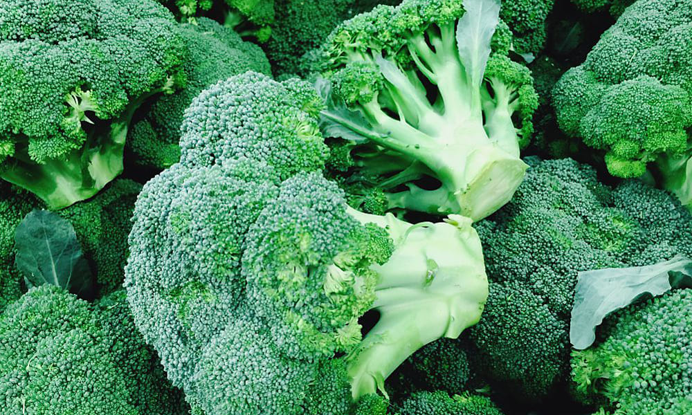 top 5 anti aging foods for skin hair brain and health