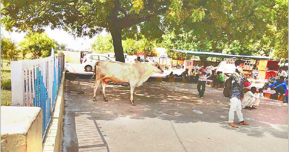 railway station, railway station Hisar, garbage in station, foulness in Hisar railway station, Hisar