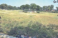 panipat,suraj,kund,haali,lake,panipat