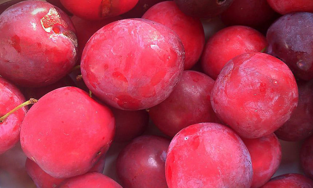 fruits to eat in rainy season for good health in hindi