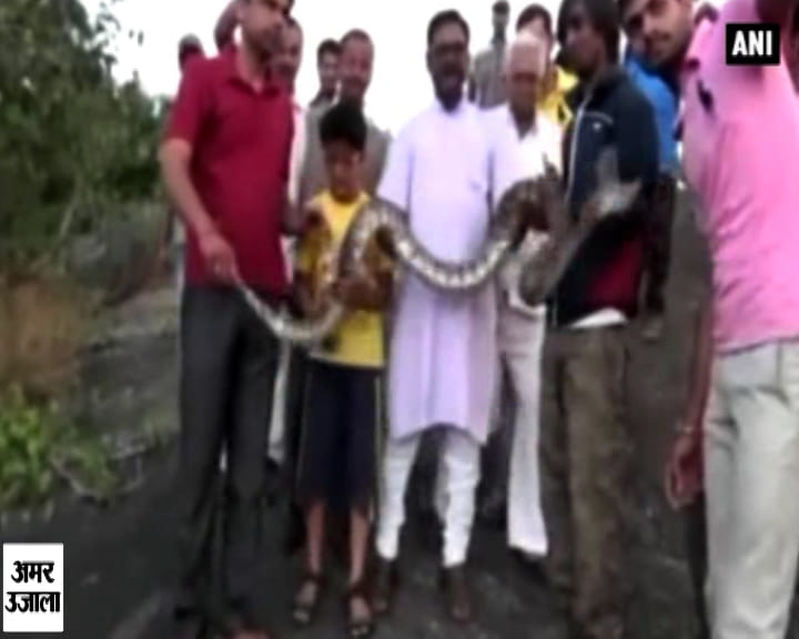अजगर के साथ सेल्फी