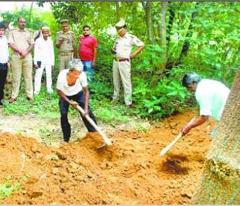 Six months later, the bodies dug grave