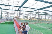 Goodwill Rally: Ready stalls, 50 acres in the ground will rally