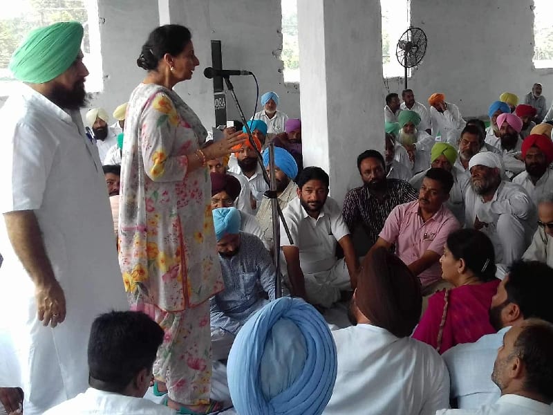 parneet kaur, cm badal punjab political news, patiala