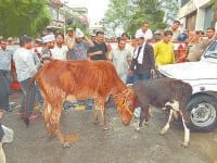 Activists clashed with police to bury you paling
