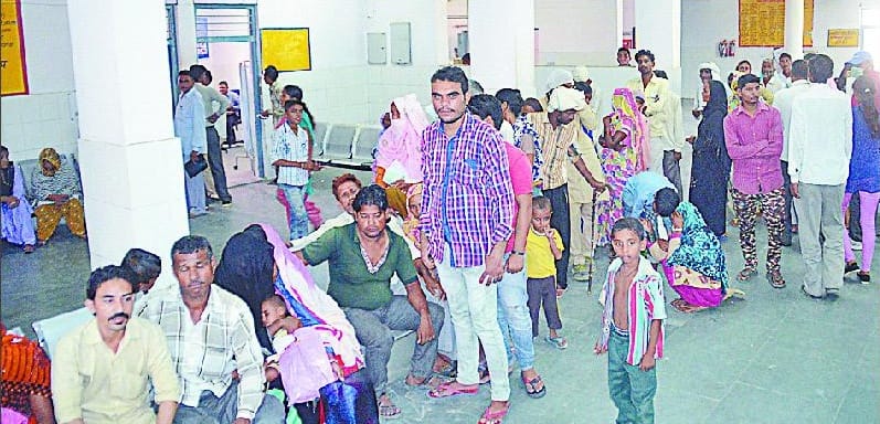 including accountant three deaths by Fever