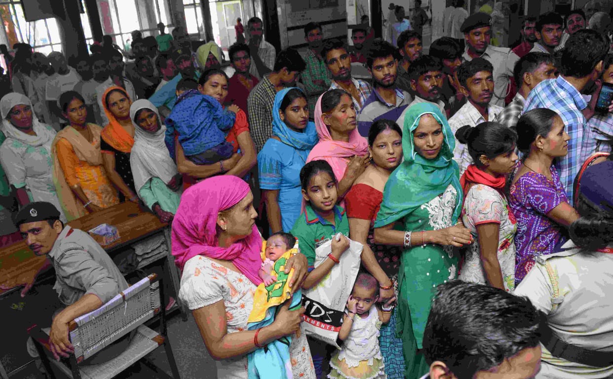 dengue, health, medical, mosquito, rohtak, haryana, patient death, health department, data