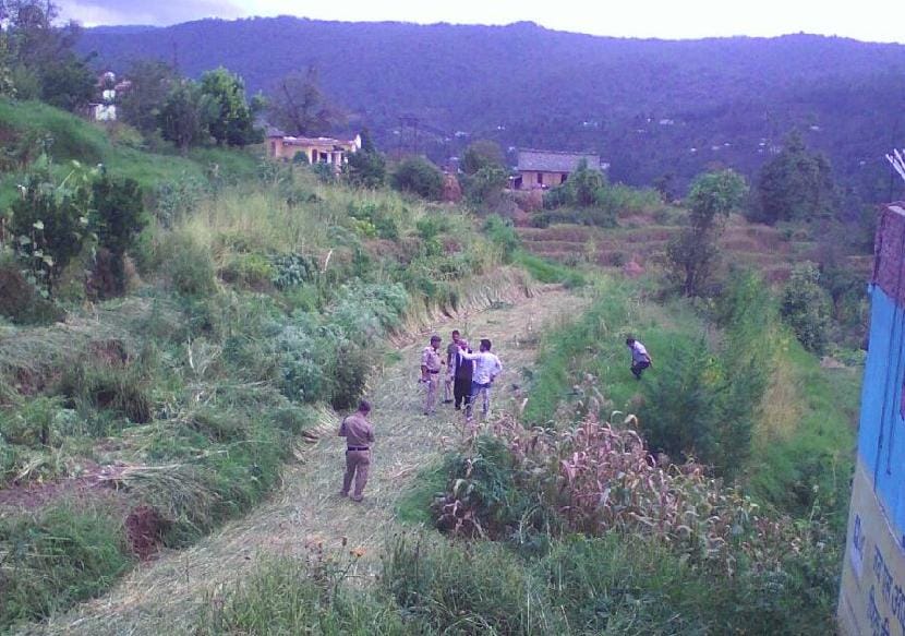 Opposed to the cultivation of cannabis destroyed