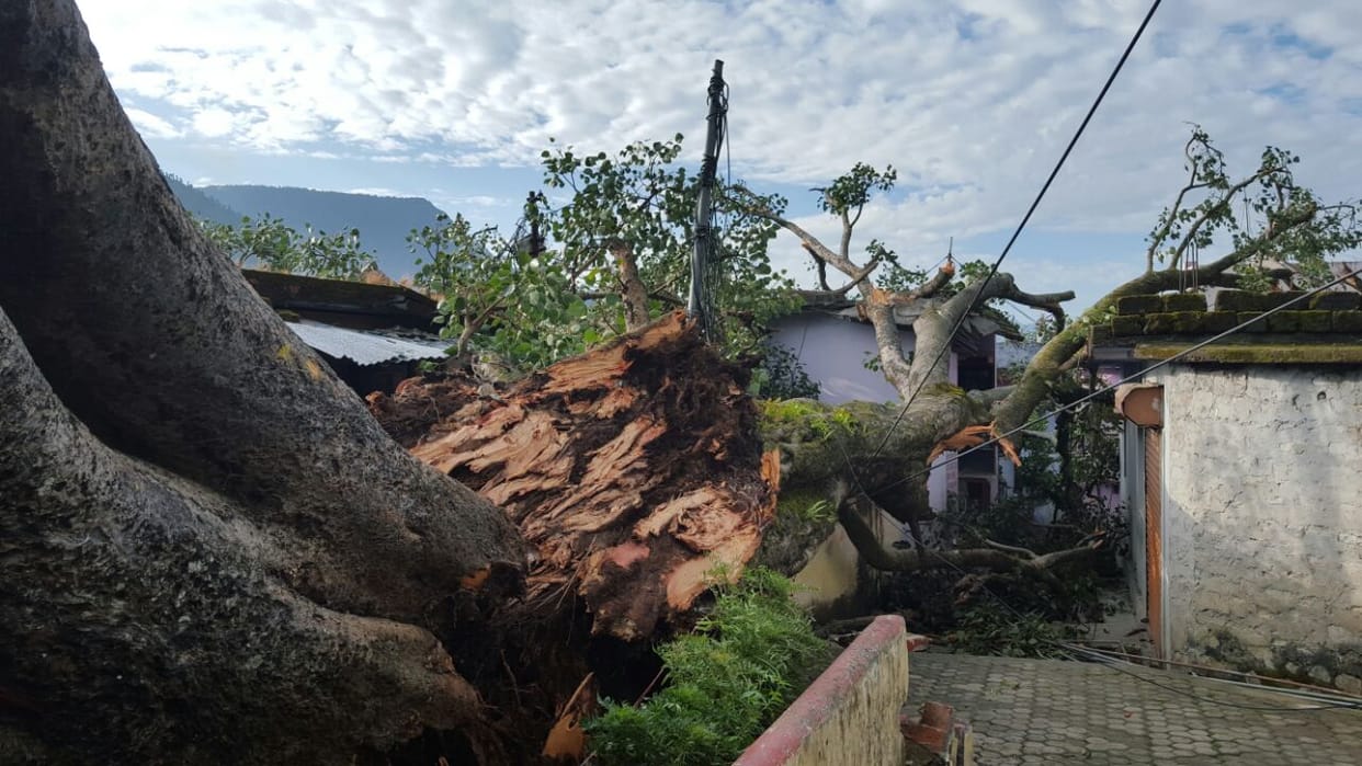 tree fall on houses in gopeshwar.