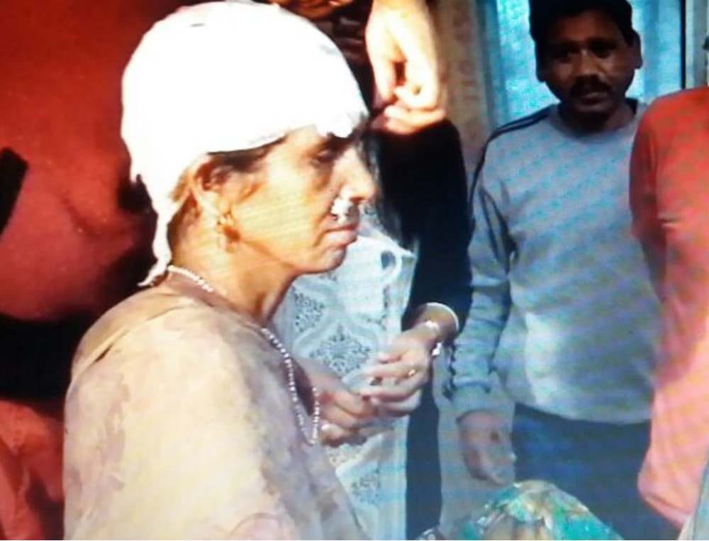 old woman fight with wild bear