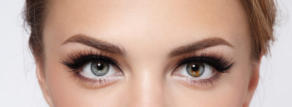 eyebrow meaning in palmistry 