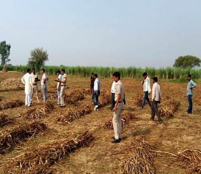 rohtak gangrape victim lady committed suicide, dead body found in house