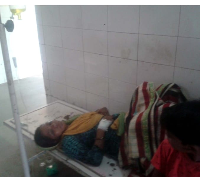 maleriya, dengoo, chikanaguniya ka kahar kaayam