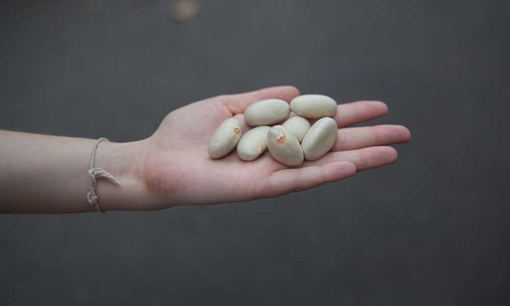 Health Benefits Of Fruit Seeds