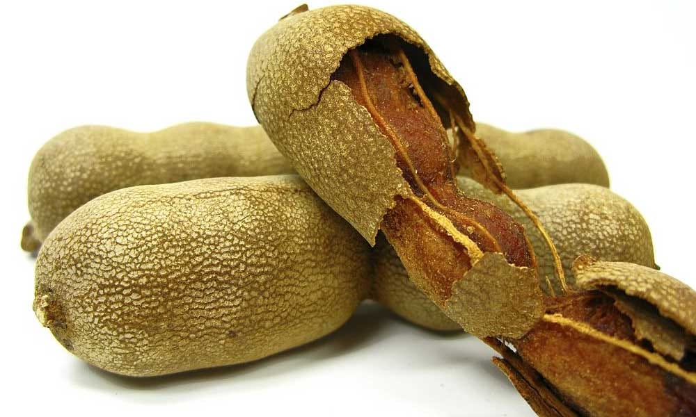 Health Benefits Of Fruit Seeds