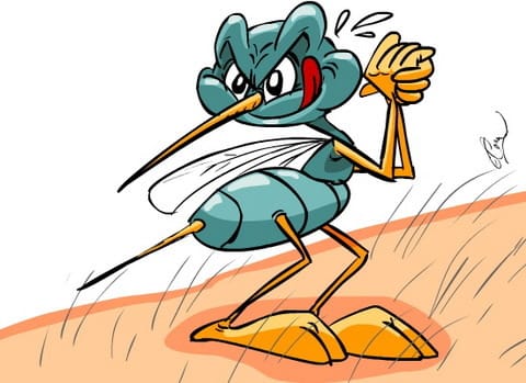 dengu- distic hospital come for nine pecent 
