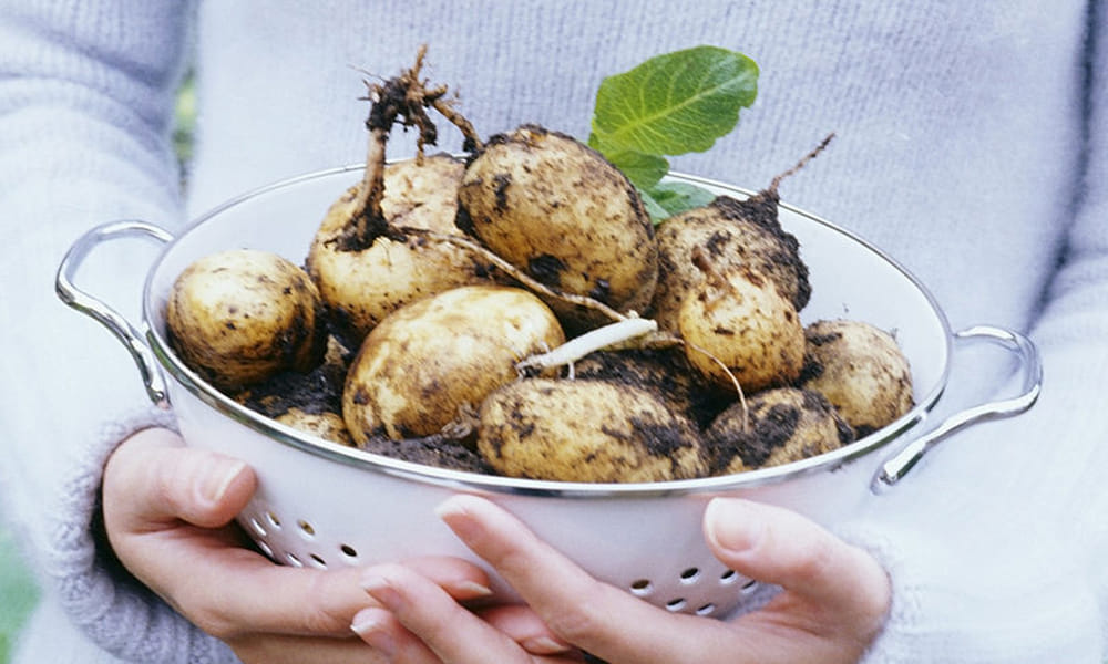 foods tjhar are bad for your health