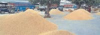 It had not been public procurement, commission and farmers, Kurukshetra