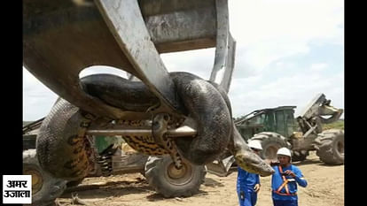 World Biggest Anaconda found in Brazil