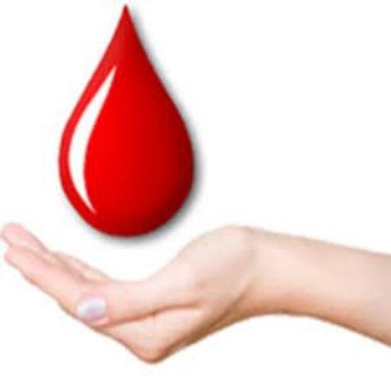 student made blood donar app.